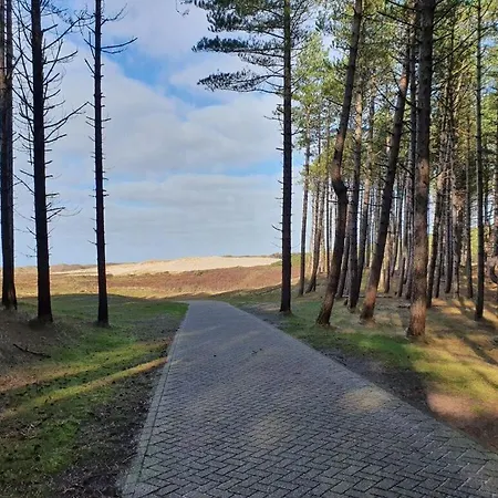 Het Koetshuis Modern Retreat * Bergen aan Zee